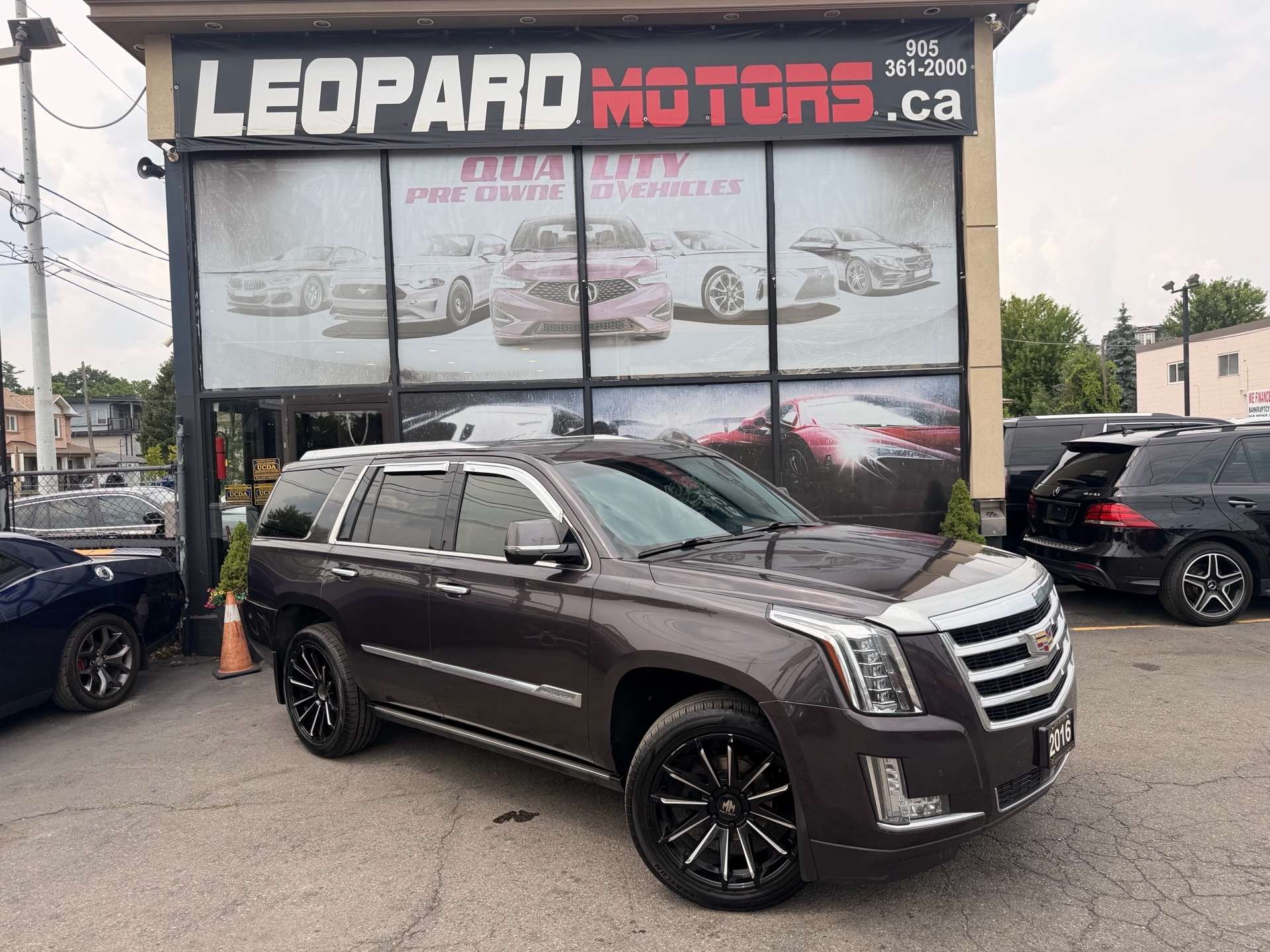 2016 Cadillac Escalade 4WD 4dr Premium Collection