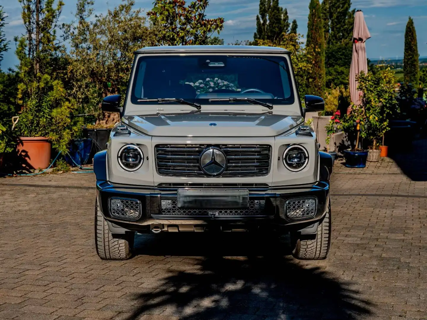 Mercedes-Benz G G 450 Grau - 2