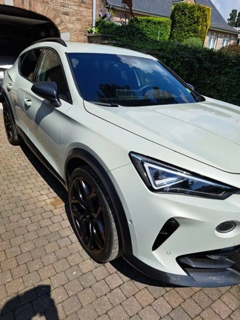 CUPRA Formentor VZ5 Taiga Grey Сірий - 1