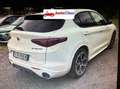Alfa Romeo Stelvio 2.2 TD 210cv AT8 Q4 Veloce TI Bianco - thumbnail 2