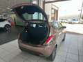 Lancia Ypsilon 1.2 69cv GPL Ecochic Gold Braun - thumbnail 11