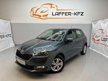 Style 1,0 TSI KLIMAAUTO SITZHZG TEMP PDC