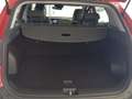 Kia Sportage 1.6 T-GDi HEV Drive 215 Rojo - thumbnail 6