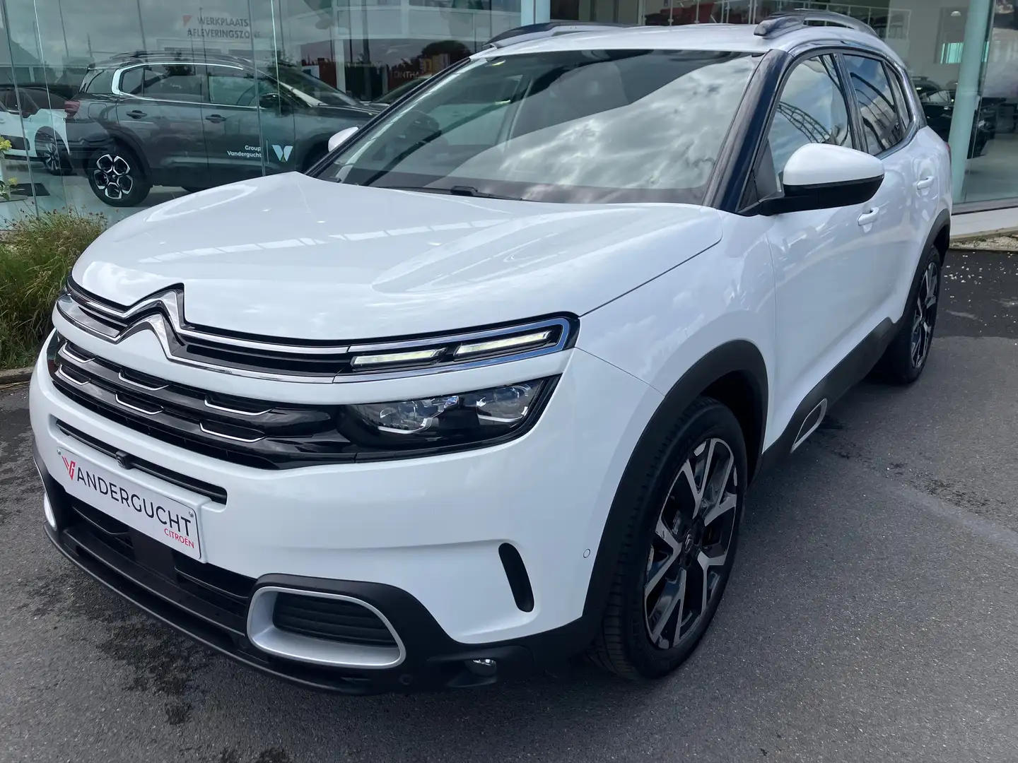 Citroen C5 Aircross C5 Aircross 12 Pure Tech 130 Shine Automaat Blanc - 1
