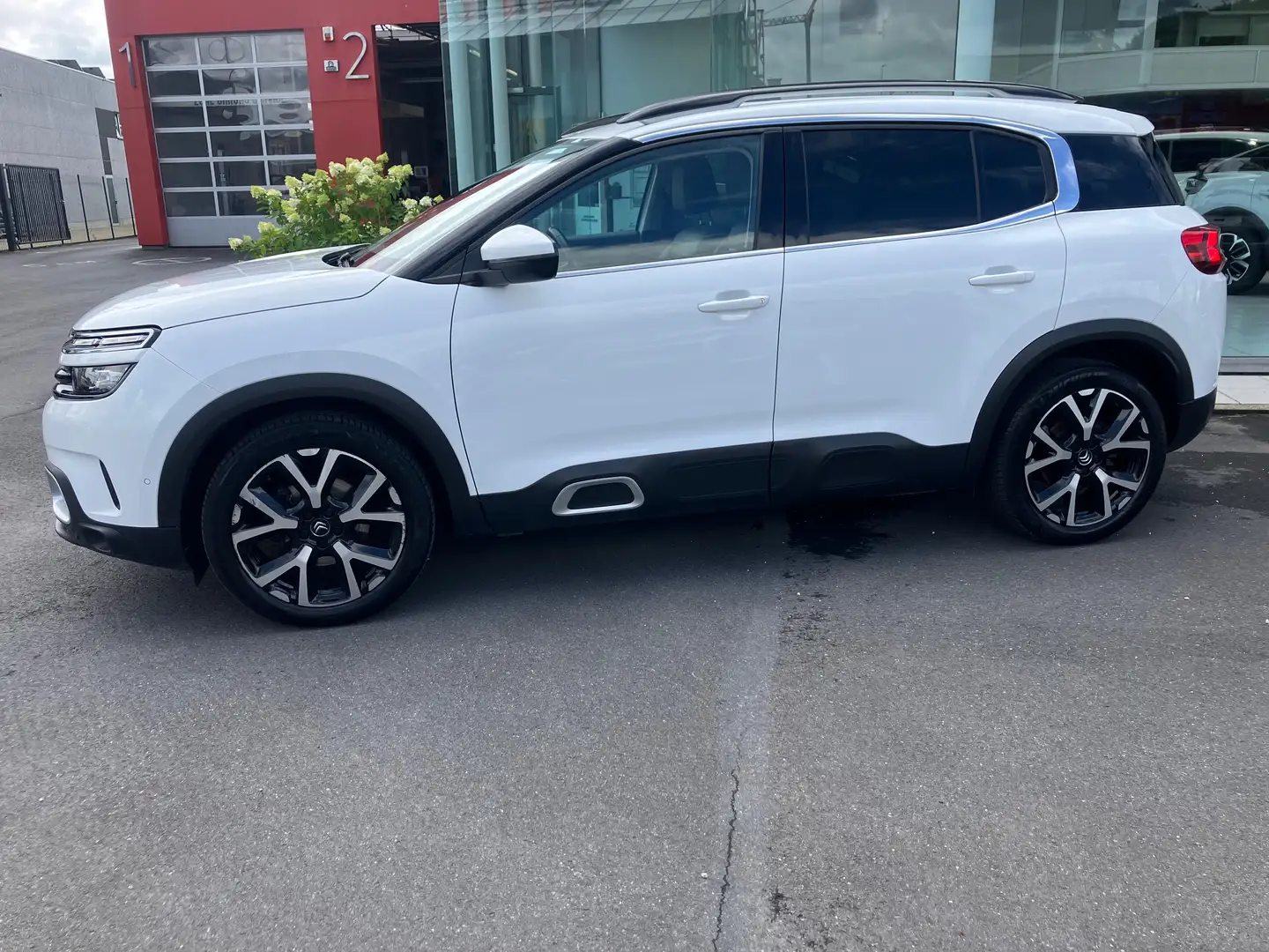 Citroen C5 Aircross C5 Aircross 12 Pure Tech 130 Shine Automaat Blanc - 2