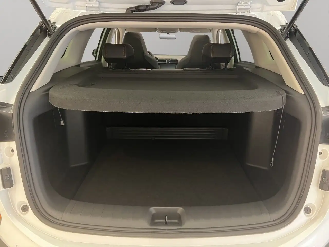 Dongfeng Shine 1.5 117CV AT GS 25