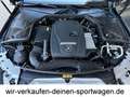 Mercedes-Benz C 300 AMG Liftsystem Plus Paket Head-Up 360 Grad top Zus Gris - thumbnail 15