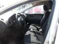 SEAT Leon Weiß - thumbnail 12