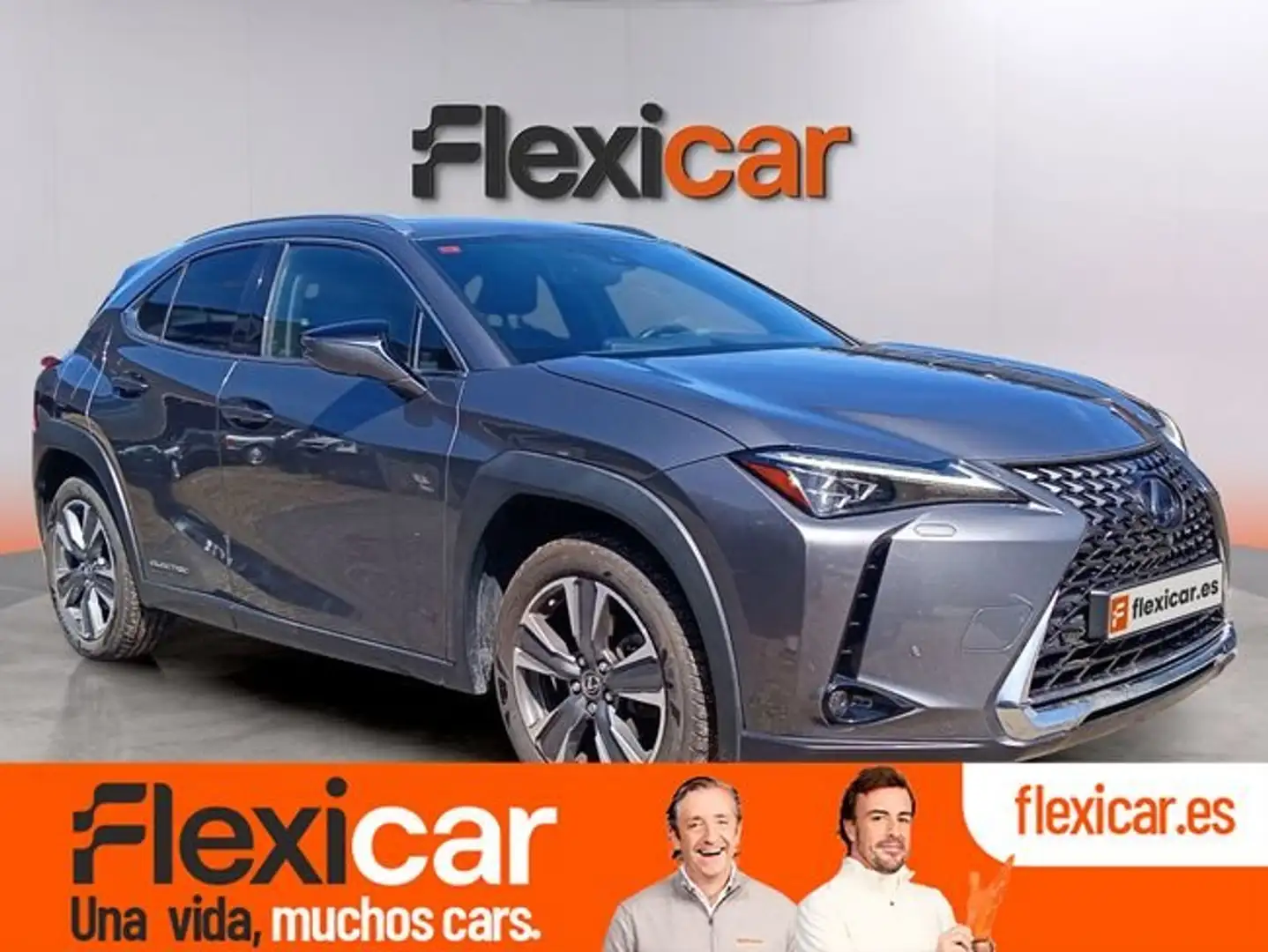 Lexus UX 300e Business Gris - 1