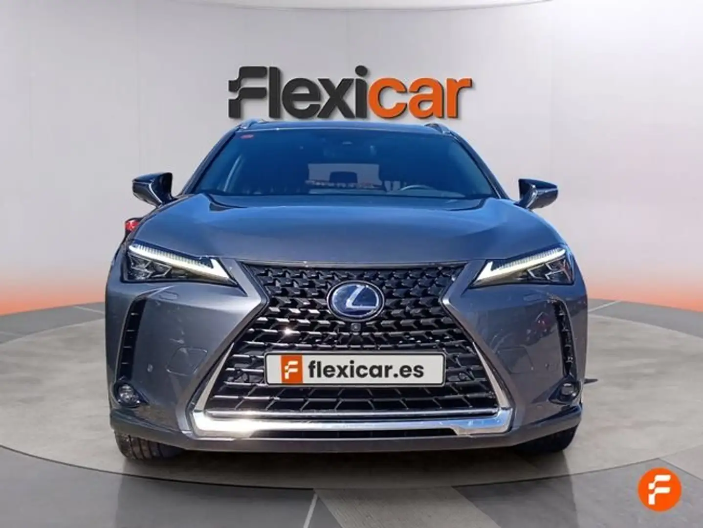 Lexus UX 300e Business Gris - 2