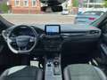 Ford Kuga Plug-In Hybrid ST-Line X Blanco - thumbnail 13