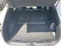 Ford Kuga Plug-In Hybrid ST-Line X Blanco - thumbnail 8