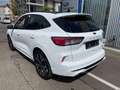 Ford Kuga Plug-In Hybrid ST-Line X Blanco - thumbnail 5