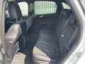 Ford Kuga Plug-In Hybrid ST-Line X Blanco - thumbnail 11