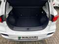 MG ZS 1.5 VTIi*Luxury*360°KAMERA*NAVI*LEDERSITZE*Sihz Blanc - thumbnail 8