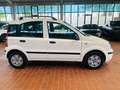 Fiat Panda 1.2 8V Dynamic 1.Hand*Klima*58500km Blanc - thumbnail 7