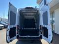 Ford Transit 350 L3H3 Lkw VA MH Trend Weiß - thumbnail 7