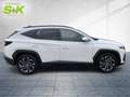 Hyundai TUCSON 1.6 CRDi Prime Mild-Hybrid 2WD*SHZ*KAMERA* Weiß - thumbnail 5