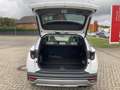 Hyundai TUCSON 1.6 CRDi Prime Mild-Hybrid 2WD*SHZ*KAMERA* Weiß - thumbnail 13