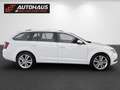 Skoda Octavia Combi 2,0 TDI | 1.BESITZ |MwSt.AUSW | Weiß - thumbnail 5