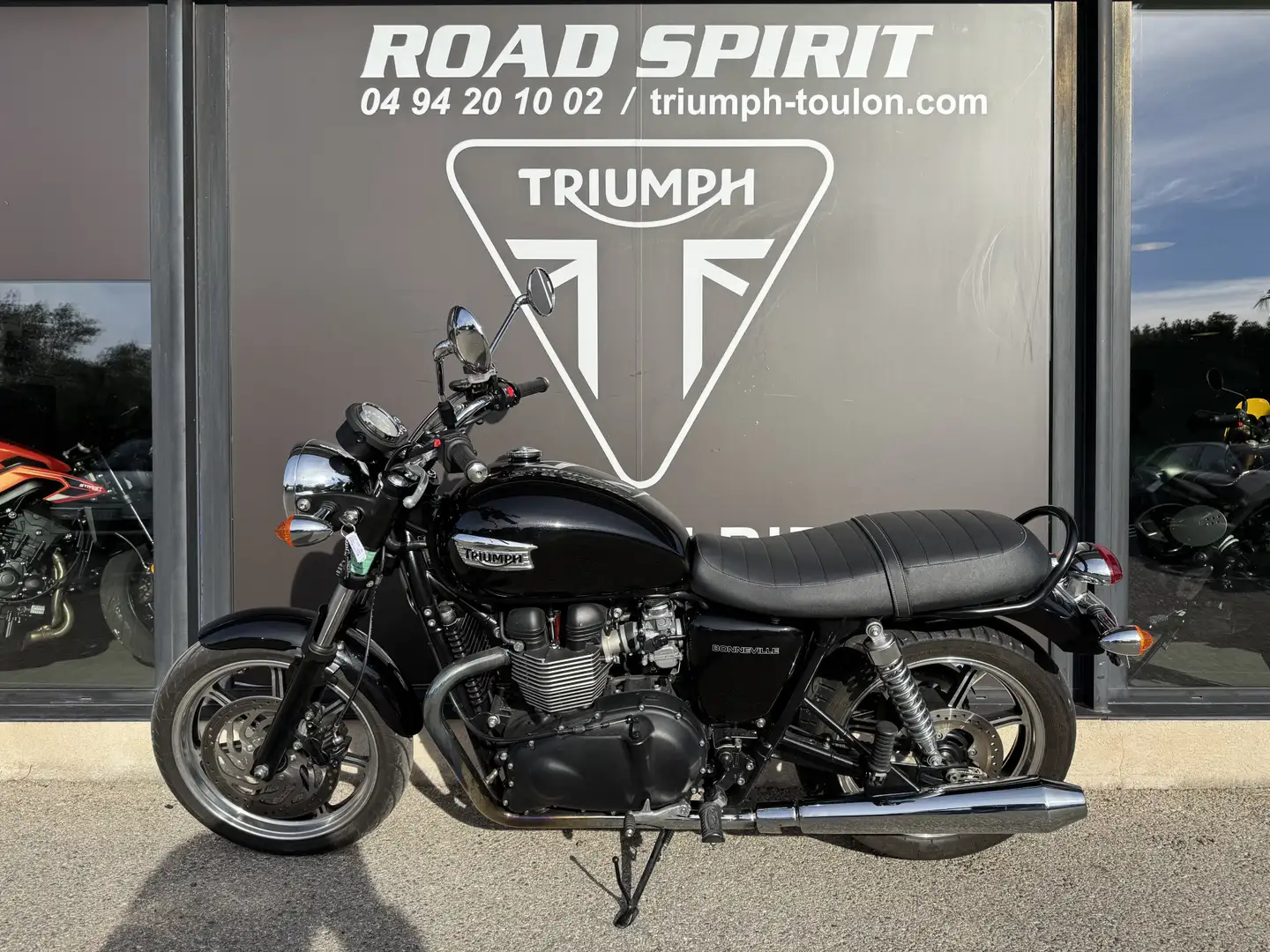 Triumph Noir - 2