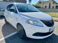 Lancia Ypsilon Ypsilon 1.0hybrid Silver Plus *NO VINCOLI - thumbnail 3