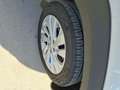 Suzuki S-Cross 1.4 DITC Hybrid shine LED+Navi+SHZ+Kam. Weiß - thumbnail 8