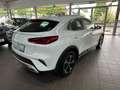 Kia XCeed 1.6 Vision Komfort+Navi Paket+KAM+SUPER Wit - thumbnail 11