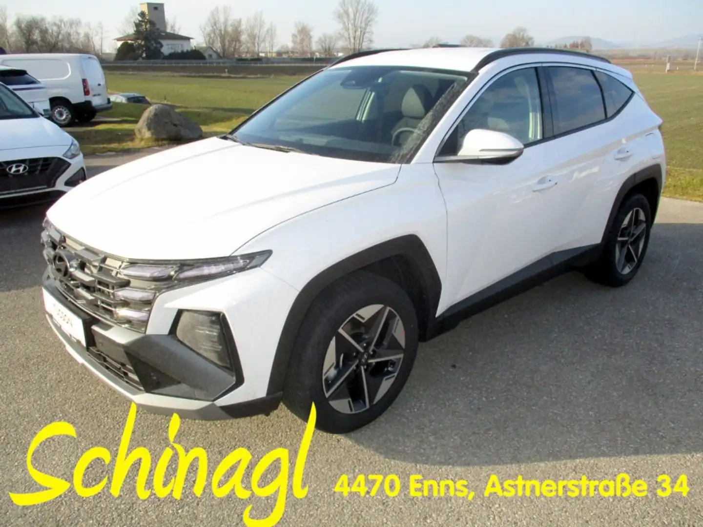 Hyundai TUCSON NX4 GO Plus 1,6 T-GDi HEV 2WD AT t6hu1 Weiß - 1