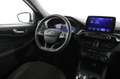 Ford Kuga 1.5 TDCi EcoBlue ST-Line X Bianco - thumbnail 14