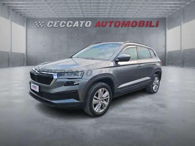 Skoda Karoq 2022 2.0 tdi evo Executive 115cv dsg