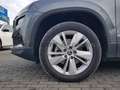 Skoda Karoq 2022 2.0 tdi evo Executive 115cv dsg Grigio - thumbnail 12
