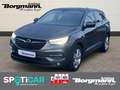 Opel Grandland Edition 1.2 Turbo EU6d GRANDL. EDI 1.2T(96)MT6 S N Gri - thumbnail 1