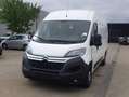 Citroen Jumper (Stock ID 21301) Weiß - thumbnail 1