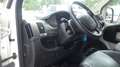 Citroen Jumper (Stock ID 21301) Weiß - thumbnail 15