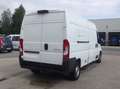Citroen Jumper (Stock ID 21301) Weiß - thumbnail 10