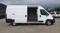 Citroen Jumper (Stock ID 21301) Weiß - thumbnail 12