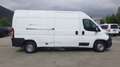 Citroen Jumper (Stock ID 21301) Weiß - thumbnail 11