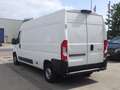 Citroen Jumper (Stock ID 21301) Weiß - thumbnail 5