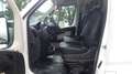 Citroen Jumper (Stock ID 21301) Weiß - thumbnail 14