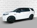 Land Rover Discovery Sport 2.0 eD4 163CV AUTOCARRO+IVA 2WD R-Dynamic S Белый - thumbnail 3