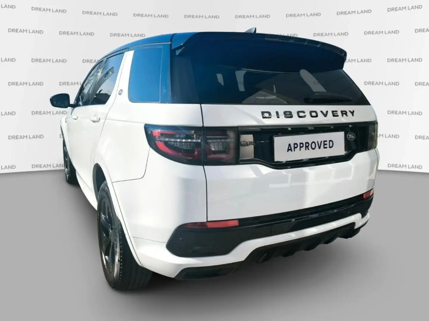 Land Rover Discovery Sport 2.0 eD4 163CV AUTOCARRO+IVA 2WD R-Dynamic S White - 2
