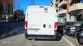 Fiat Ducato Ducato 35 2.2 Mjt 140CV PLM-SL-TA Furgone Bianco - thumbnail 6