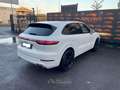 Porsche Cayenne 3.0 V6 PANO NAVI CAMERA LED SPORT CHRONO Bianco - thumbnail 5