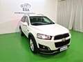 Chevrolet Captiva 7 Posti Captiva 2.2 LTZ 184cv auto my13 Bianco - thumbnail 5