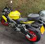 Aprilia Tuono 660 mit AKRAPOVIC Auspuff Galben - thumbnail 5