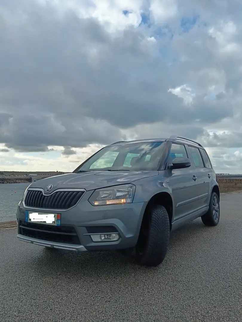 Skoda Yeti Yeti 1.4 TSI 125 Green Tec Drive Grau - 1