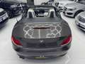 BMW Z4 Z4 E89 sdrive23i Gris - thumbnail 9