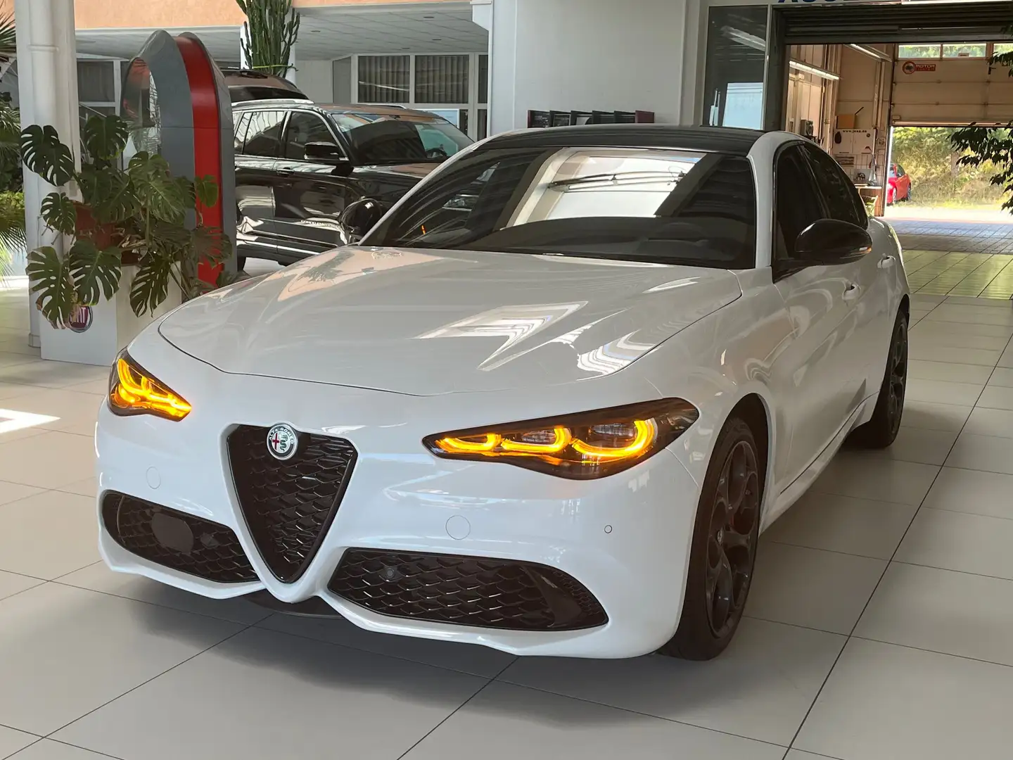 Alfa Romeo Giulia 2.2 Diesel Tributo Italiano Q4 - LEDER+RFK+TOTW Weiß - 1