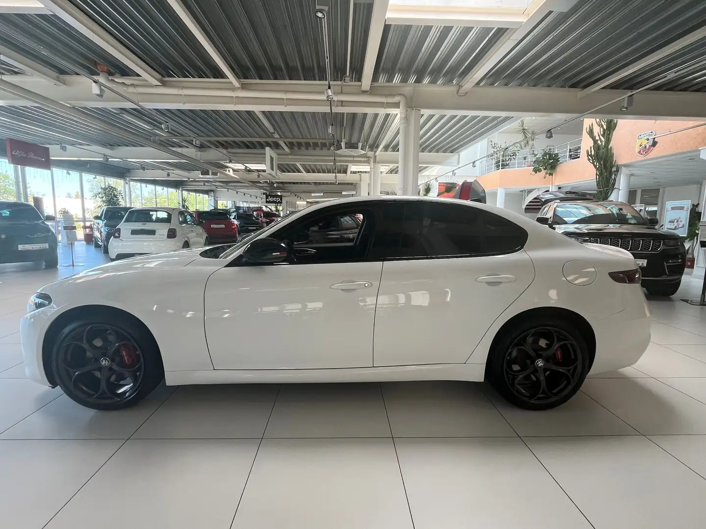 Alfa Romeo Giulia 2.2 Diesel Tributo Italiano Q4 - LEDER+RFK+TOTW Weiß - 2
